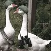 kfhfdkcb7