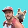 TJ The Frenchie