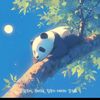 yedam248