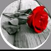 dudu ahmet 42