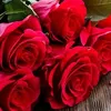 thanh_phong_99