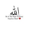 fawazshangwani1