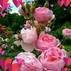 rahimi_k