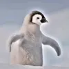yo____y0
