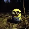 taanyyyaa