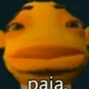 teu.pai.de.calsinha._2