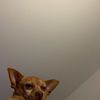 kiny_boi