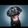 user_bunch_of_numbers