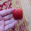 anumm.ajaa