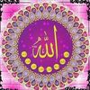user1326586649225