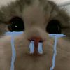 capucinouw2