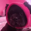 loliepopie0
