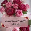 mememohmd1