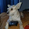 TECNO MAX