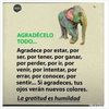 lagrooniisalsa