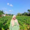 xyy_d34