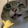 justmtuaan