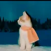 .pan.2003