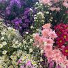 nur_jihaan