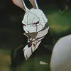 mr.rabbit372