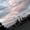 sandra..590