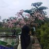 vyfin_w