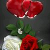 user2371336195513