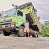 palsu12346
