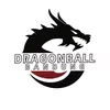 dragonball.bandung
