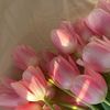 thumbeza_bz