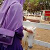 selmayahya2