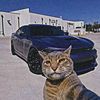 bababourus_228