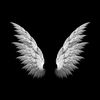 alihussain786926