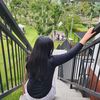 aurapuh