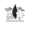 villapinepoodles