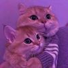 ❤️🥺