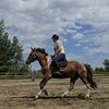 nicole.craft.mom.equine