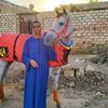 mahmoudqasim11