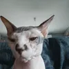 pas_vu_paspris