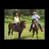 lewisranch