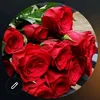 dy03xwqmr1vp