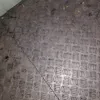 nakedelev1