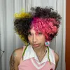 fernandaanele