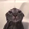 mama_agirlbehindyou12