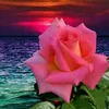 www.soc1