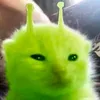 cl9_vl