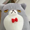 nanakskymd