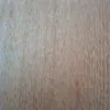 matylda604