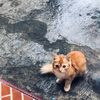 pulupuluu_u3