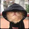 mazwi_10659736